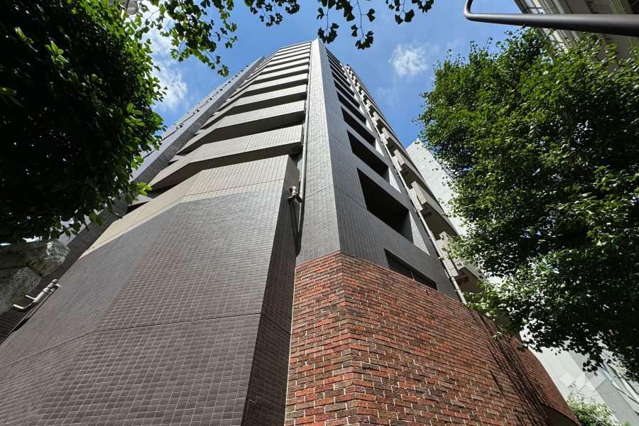 フェニックス板橋大山の外観（南東側から）　　