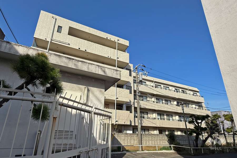 日神パレステージ志村坂下の外観（南西側から）