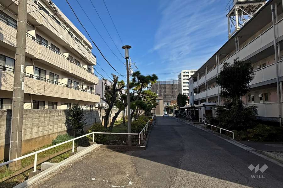 敷地南側の通路