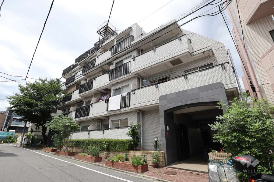 コーラルハイツ成増の外観（東側から）