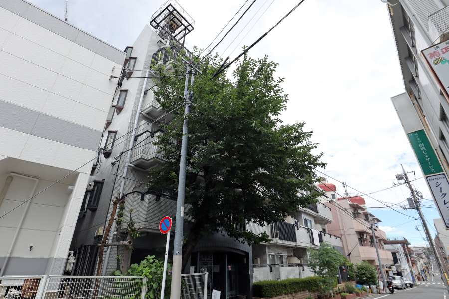 コーラルハイツ成増の外観（南側から）