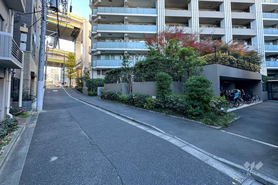 敷地南側の前面道路　