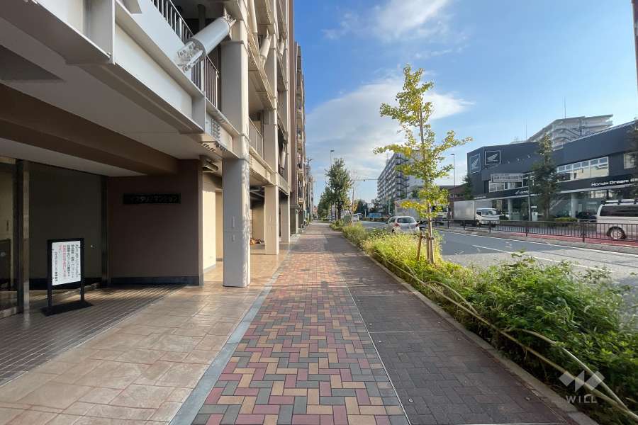 敷地南西側の前面道路　