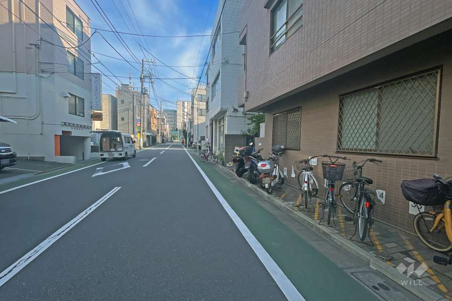 敷地の東側前面道路（北側から）