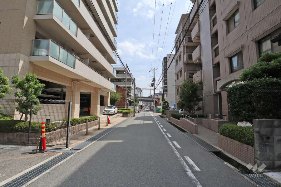 敷地南側の前面道路（西側から）