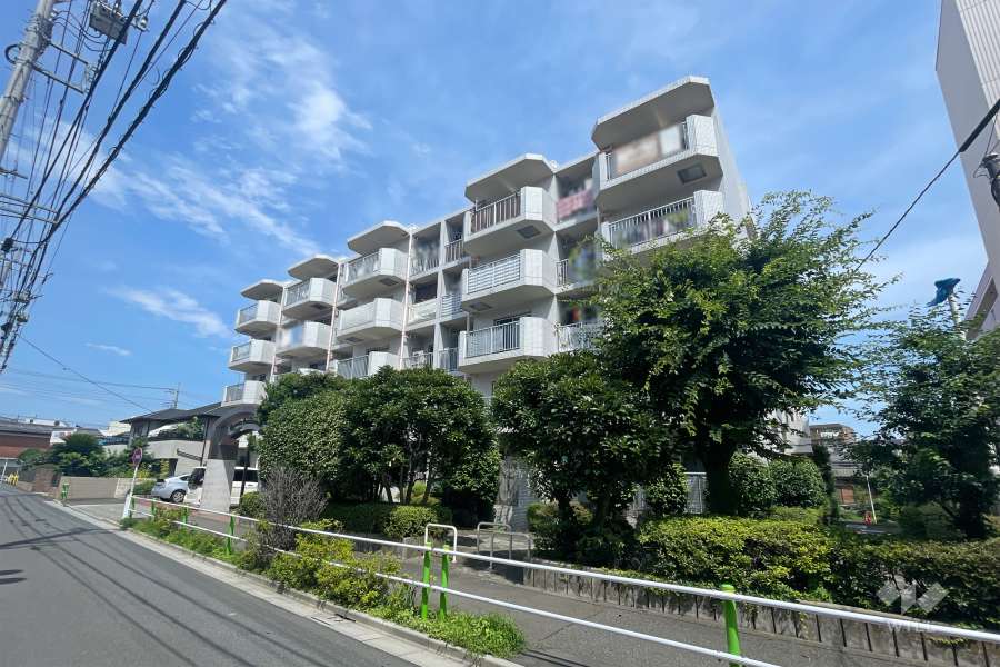 ドミール上板橋の外観（南東側から）