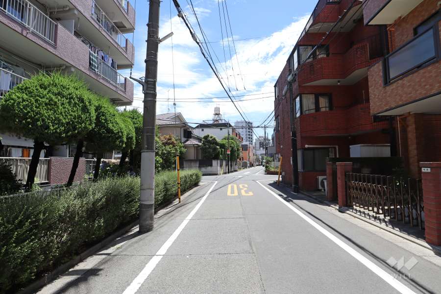 敷地南側の前面道路（西側から）