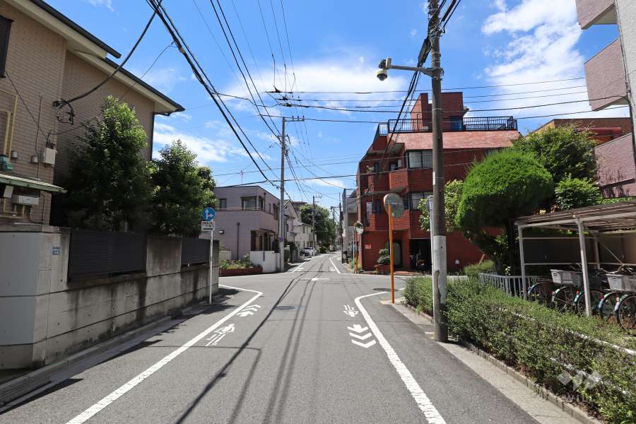 敷地東側の前面道路（北側から）