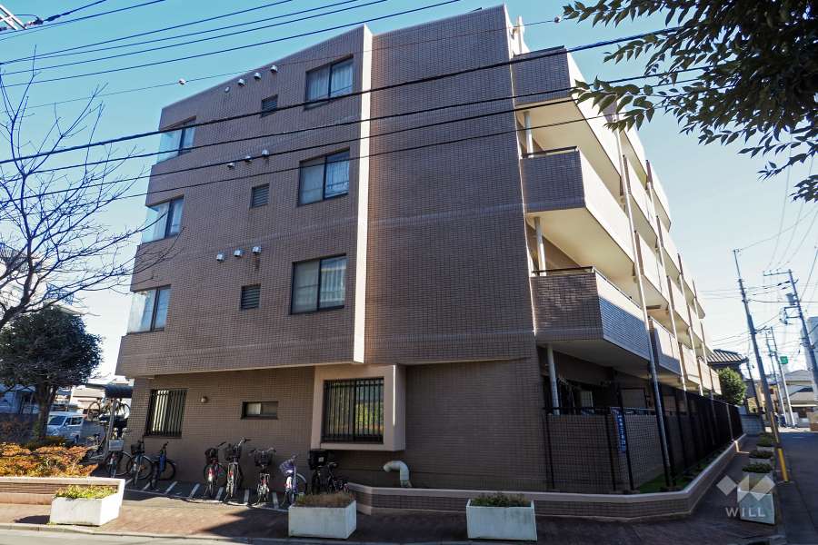 ファミール成増の外観（南西側から）