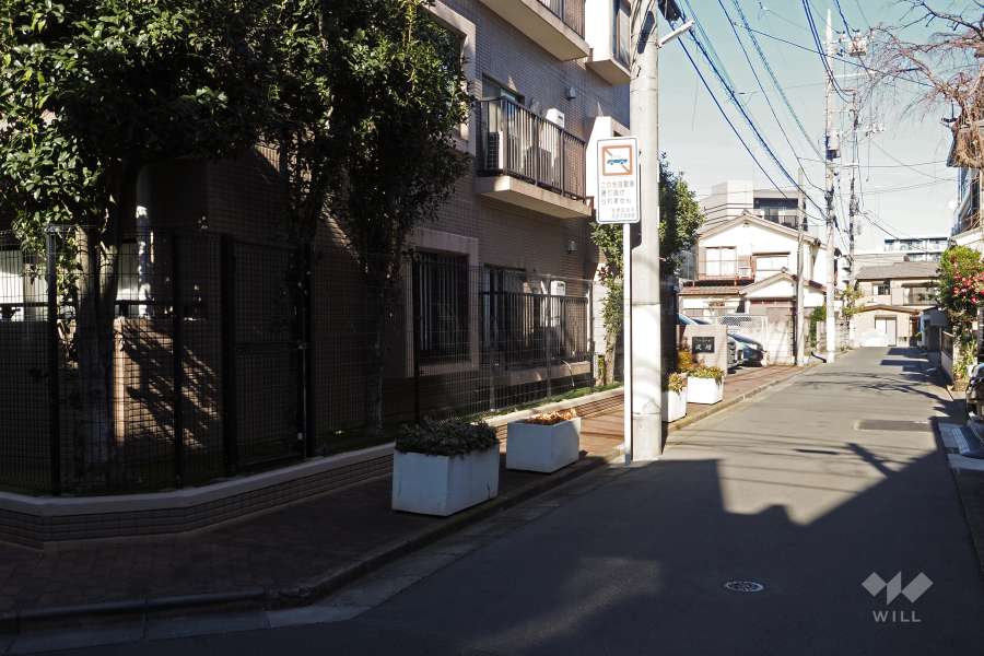 敷地東側の前面道路（南側から）