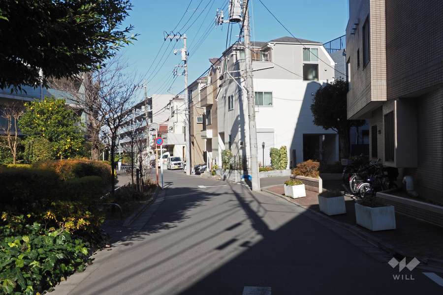 敷地西側の前面道路（南側から）
