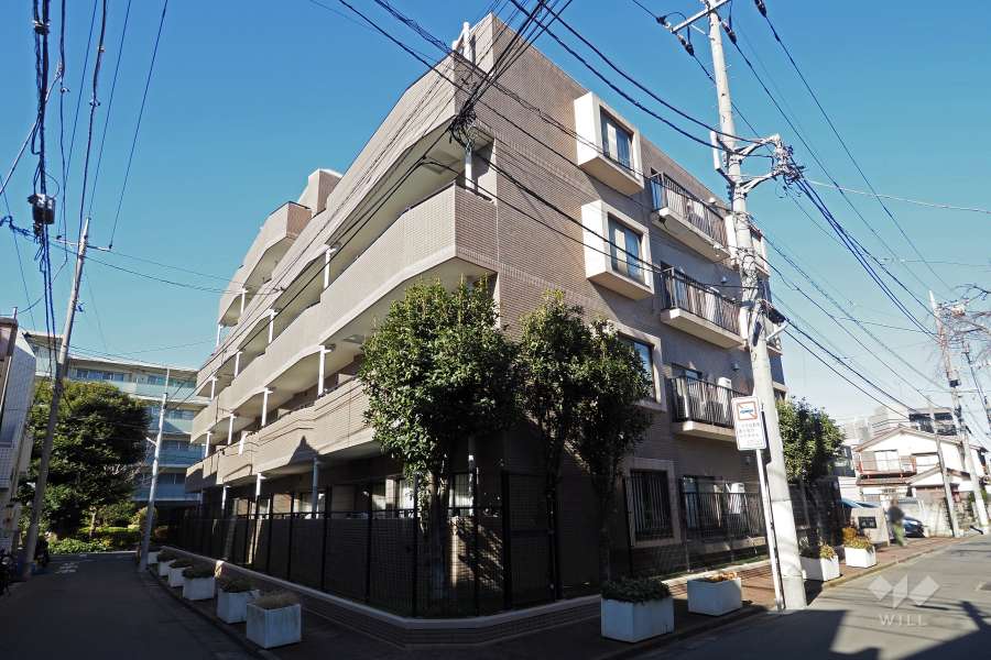 ファミール成増の外観（南東側から）