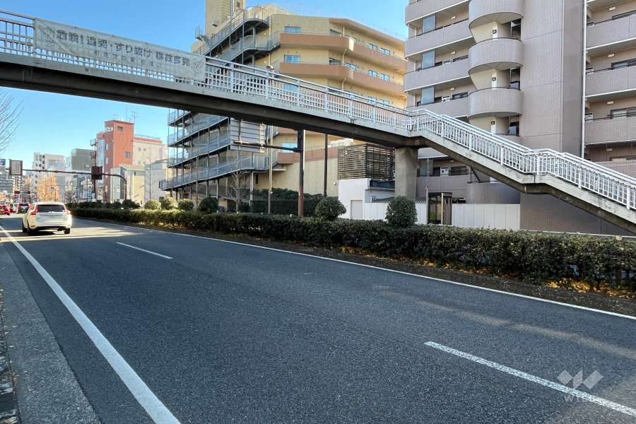 敷地北側の前面道路