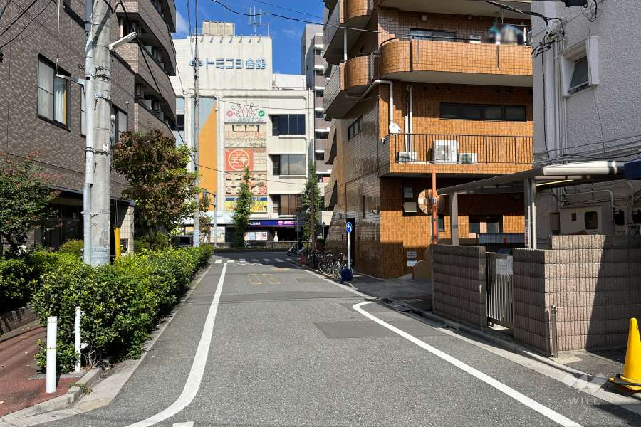 敷地の西側前面道路（南側から）