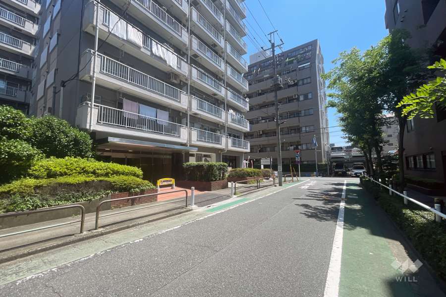 敷地の南側前面道路（西側から）