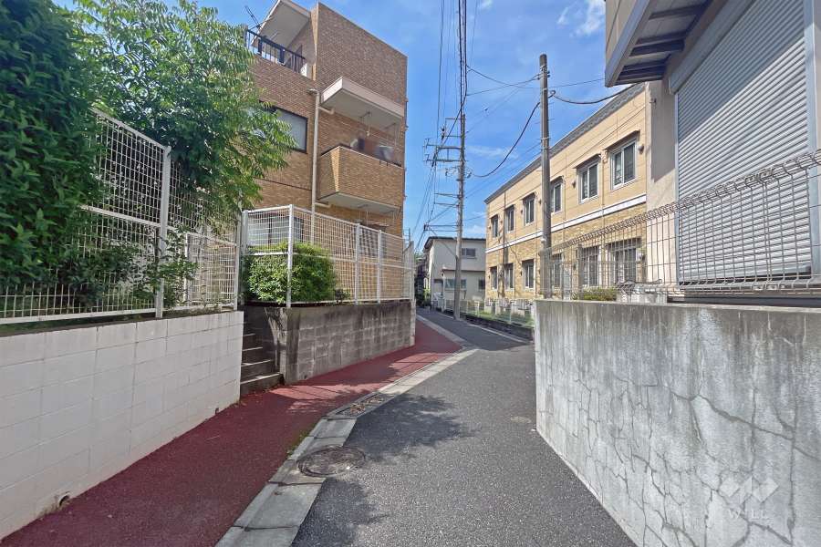 敷地の西側前面道路（北側から）