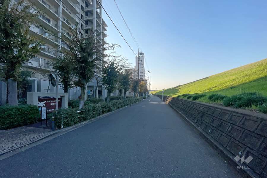 敷地北側の前面道路　