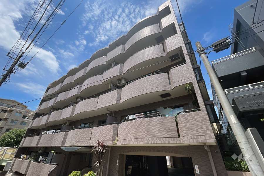 ナイスアーバン成増の外観（南東側から）
