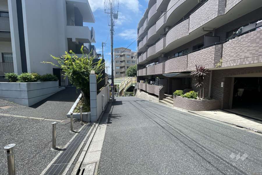 敷地の南側前面道路（東側から）