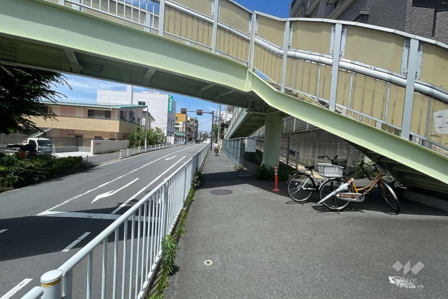 敷地の西側前面道路（南側から）