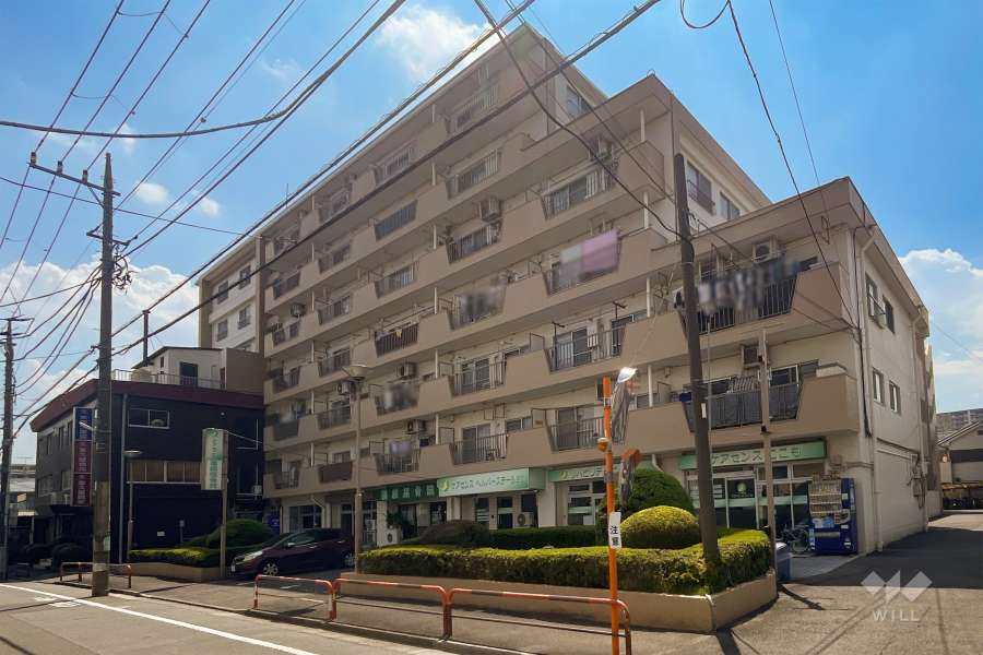 東久蓮根ハイツの外観（北東側から）
