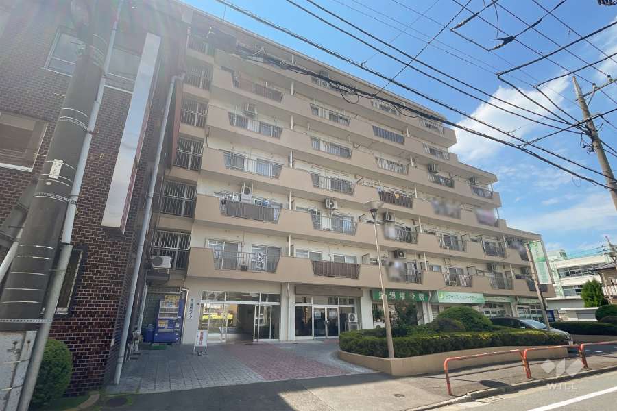 東久蓮根ハイツの外観（南東側から）