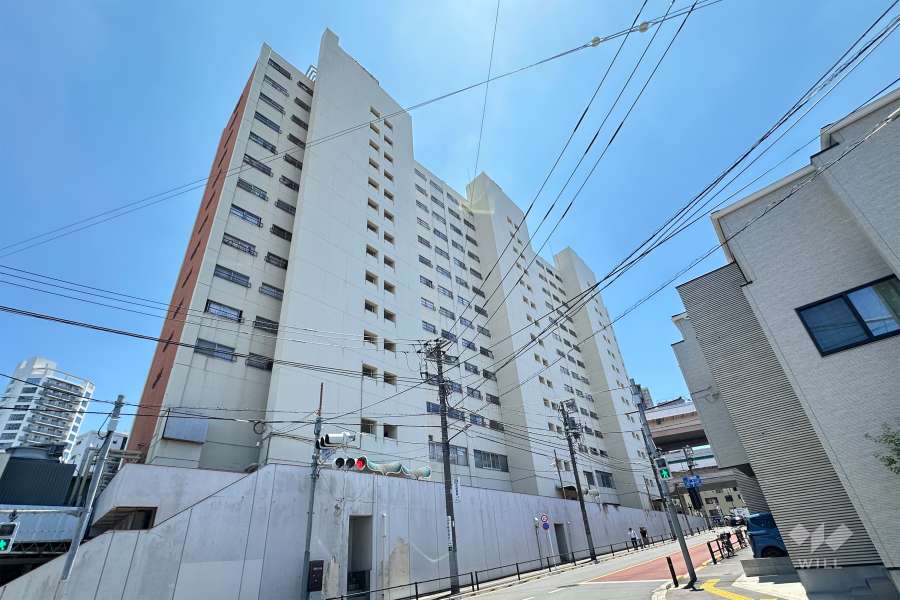 板橋スカイプラザの外観（北側から）