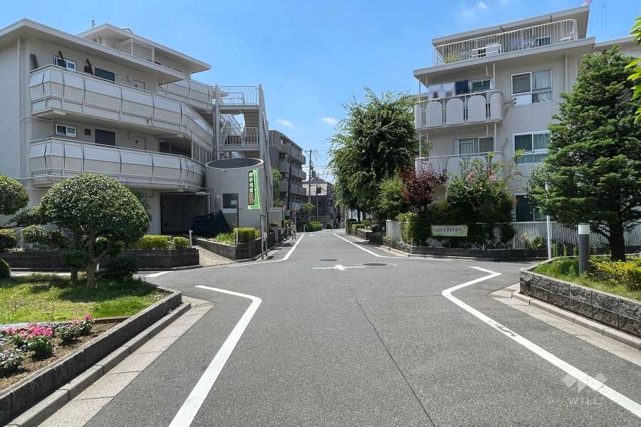 敷地の西側前面道路（北側から）