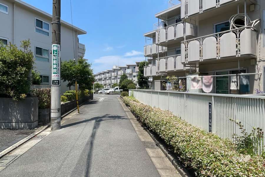 敷地の南側前面道路（東側から）