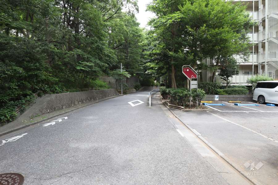 敷地東側の前面道路　　