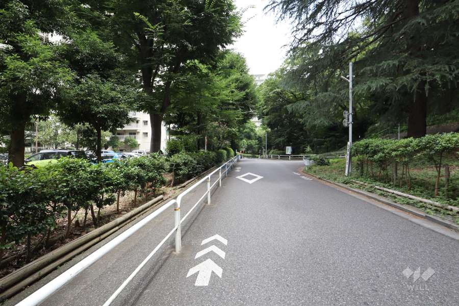 敷地東側の前面道路　