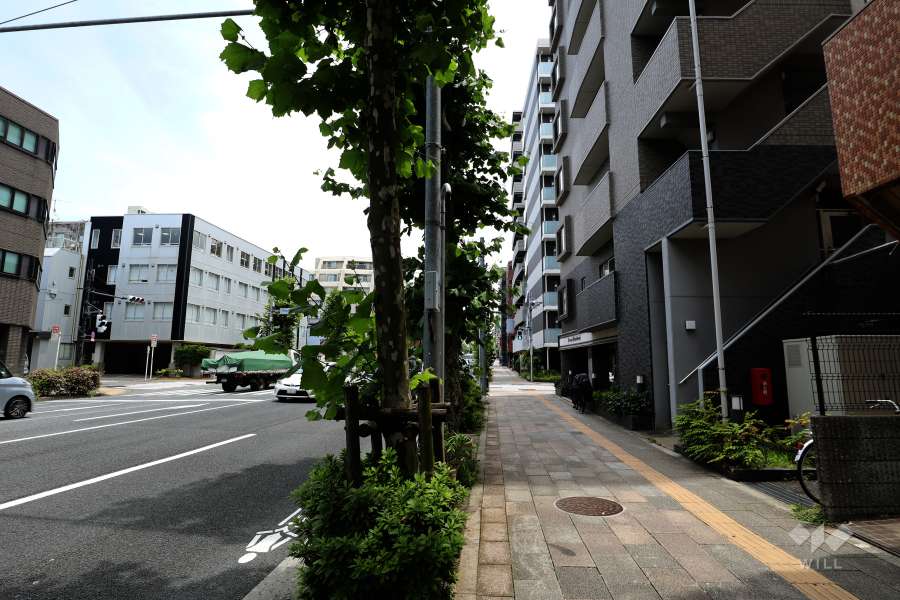 敷地北東側の前面道路（北西側から）