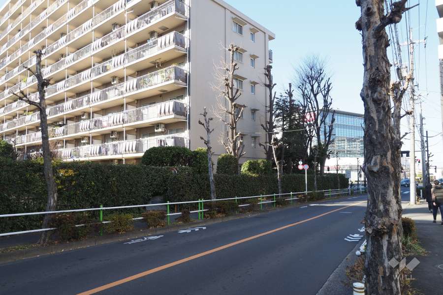 敷地東側の前面道路（南側から）