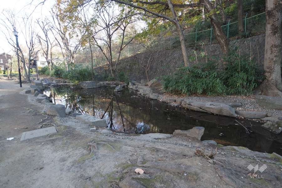敷地南側に隣接する『板橋区立小豆沢公園』