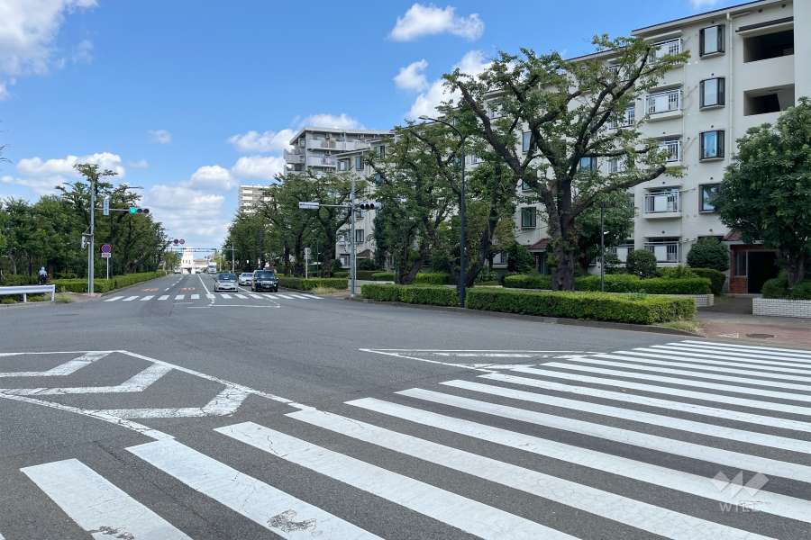 敷地の西側前面道路（南側から）