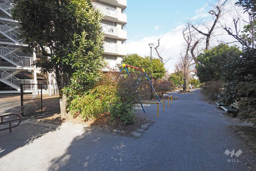 敷地南側の前面通路（西側から）