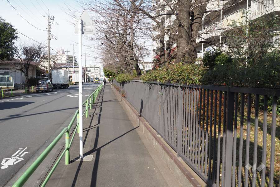 敷地西側の前面道路（南側から）