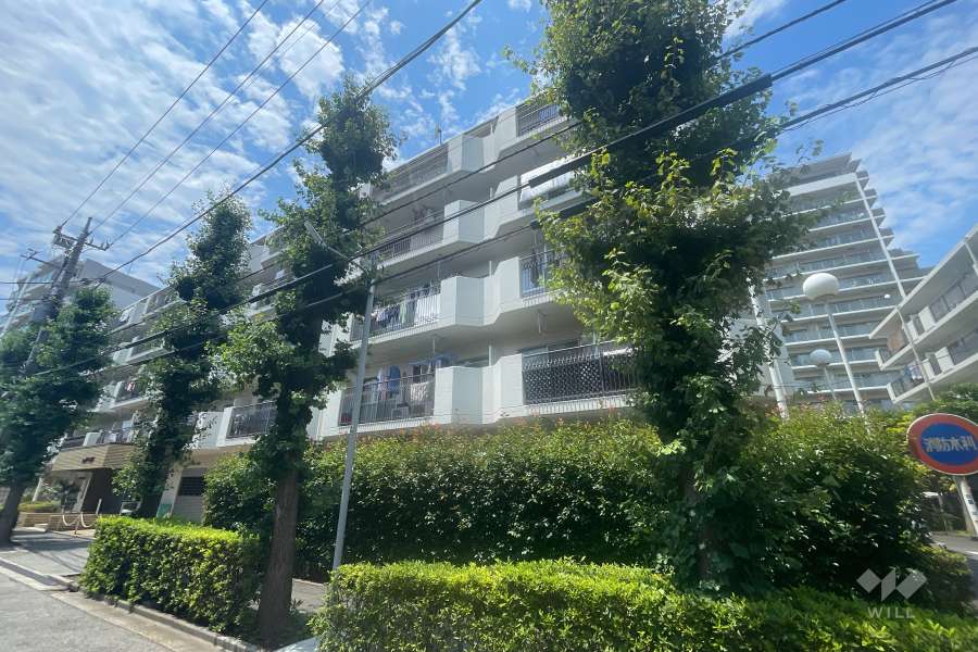 いづみハイツ本蓮沼の外観（南東側から）