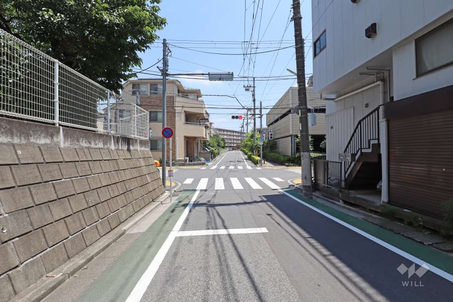 敷地の南側前面道路（西側から）