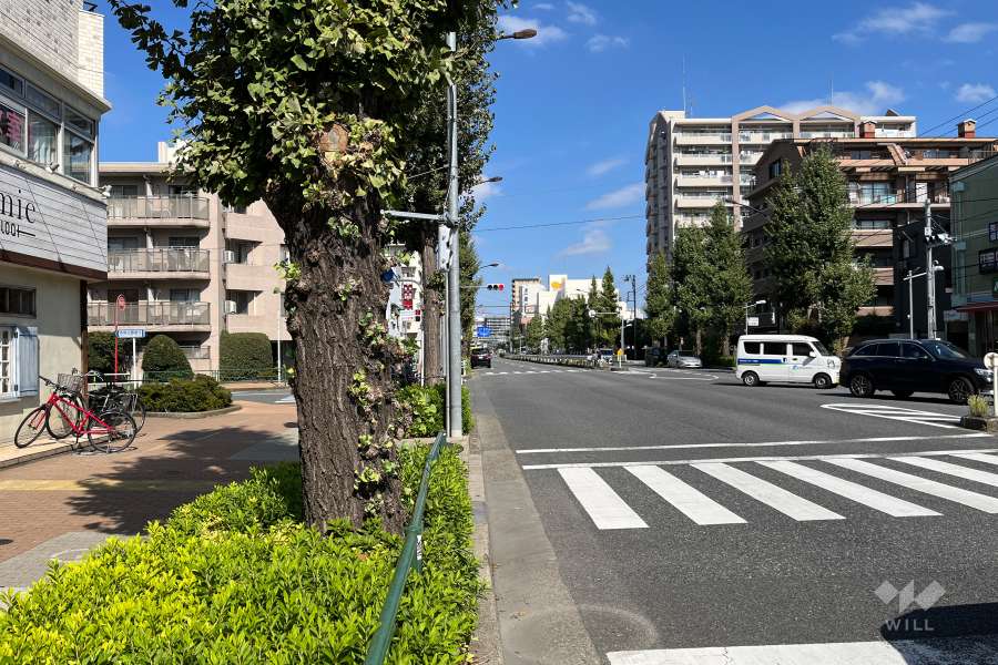 敷地の東側前面道路（南側から）