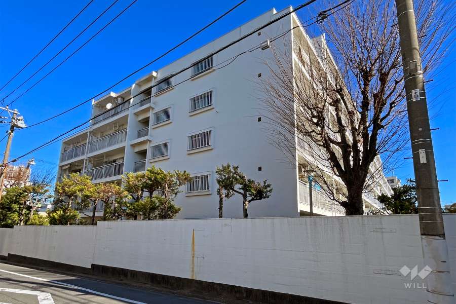 南町住宅の外観（南西側から）