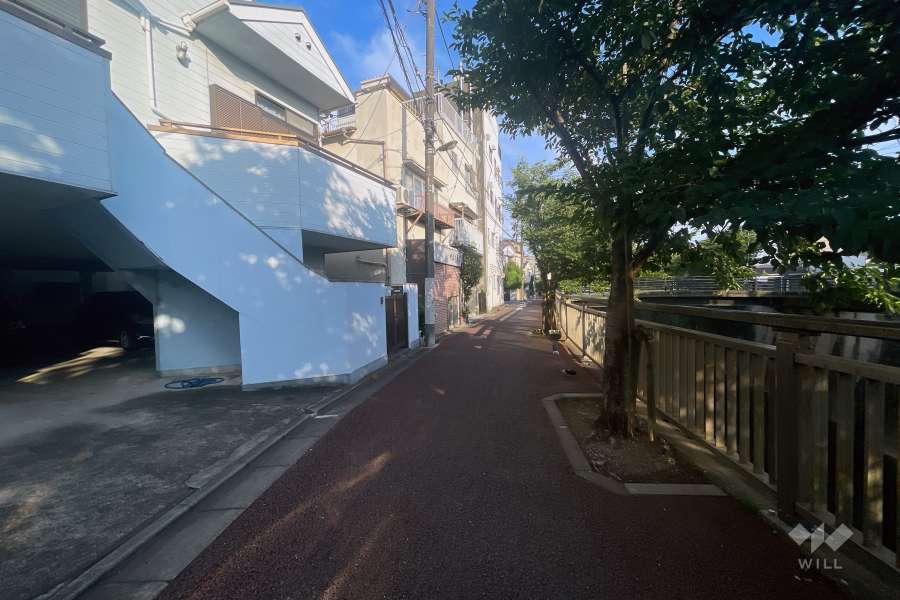 敷地の西側前面道路（北側から）