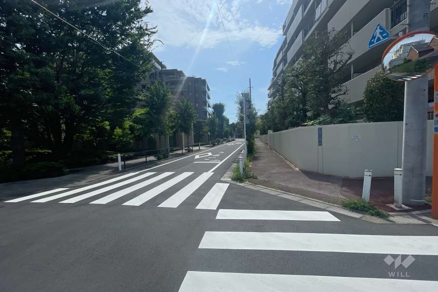 敷地南側の前面道路　