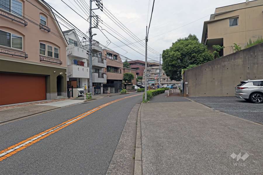 敷地の西側前面道路（南側から）