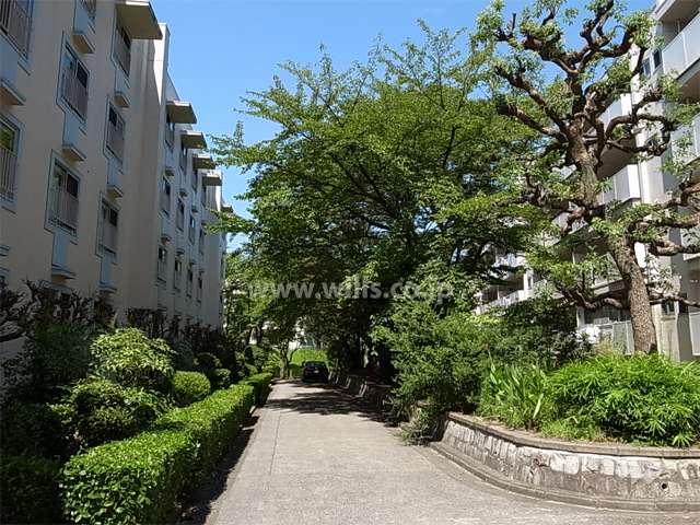 A-19棟の南側の通路