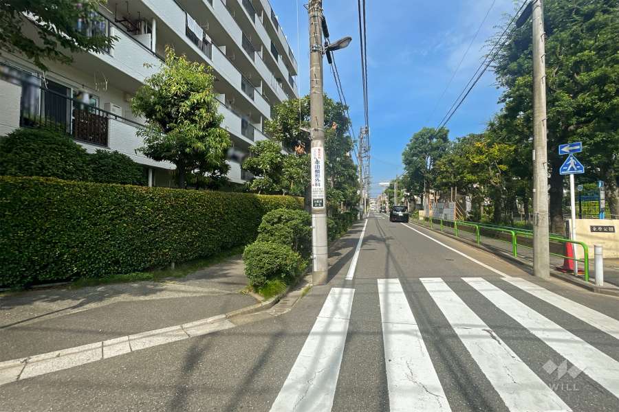 敷地南側の前面道路（西側から)