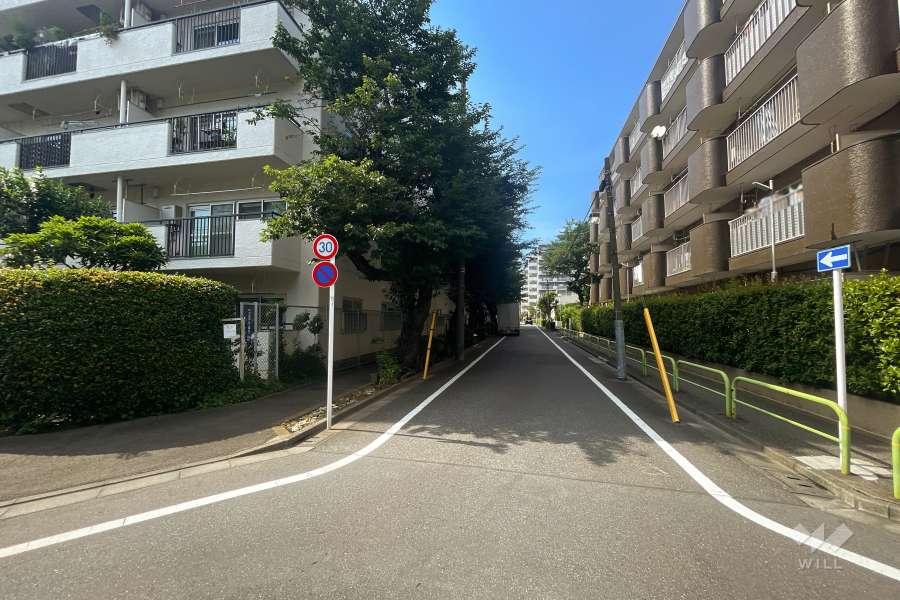 敷地東側の前面道路（南側から）