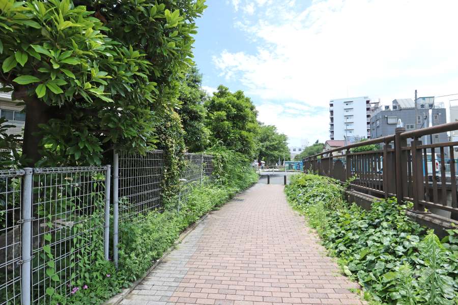 敷地西側の前面道路（北側から）