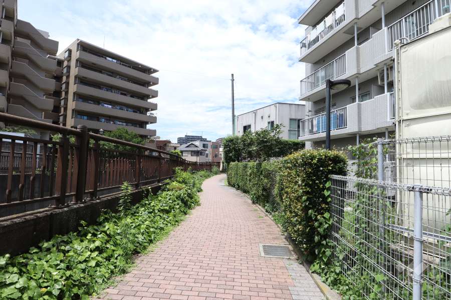 敷地西側の前面道路（南側から）