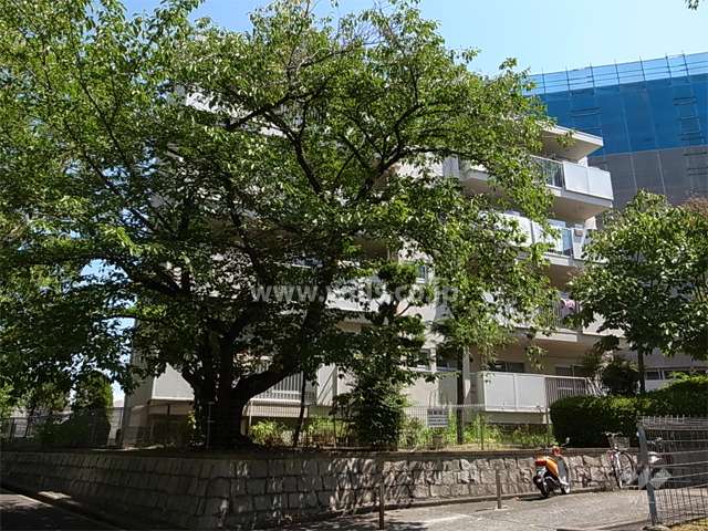 府公社千里津雲台団地A-21棟の外観(南側から)